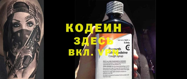 индика Баксан