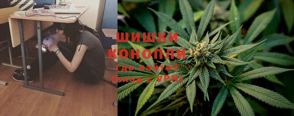 прущие грибы Белоозёрский