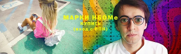 индика Баксан